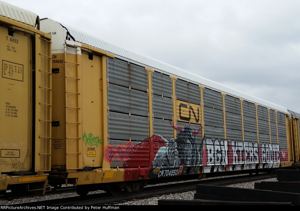 CN 704650
